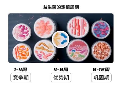 为什么益生菌吃了没感觉？